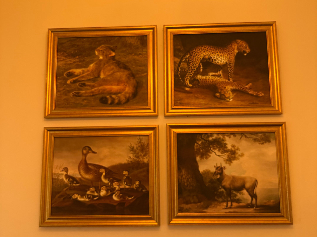 Chunda Shikar Oudi主图