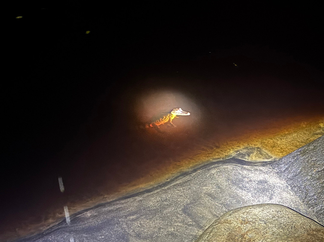 Tropilocal Tours-Manzanillo必去景点