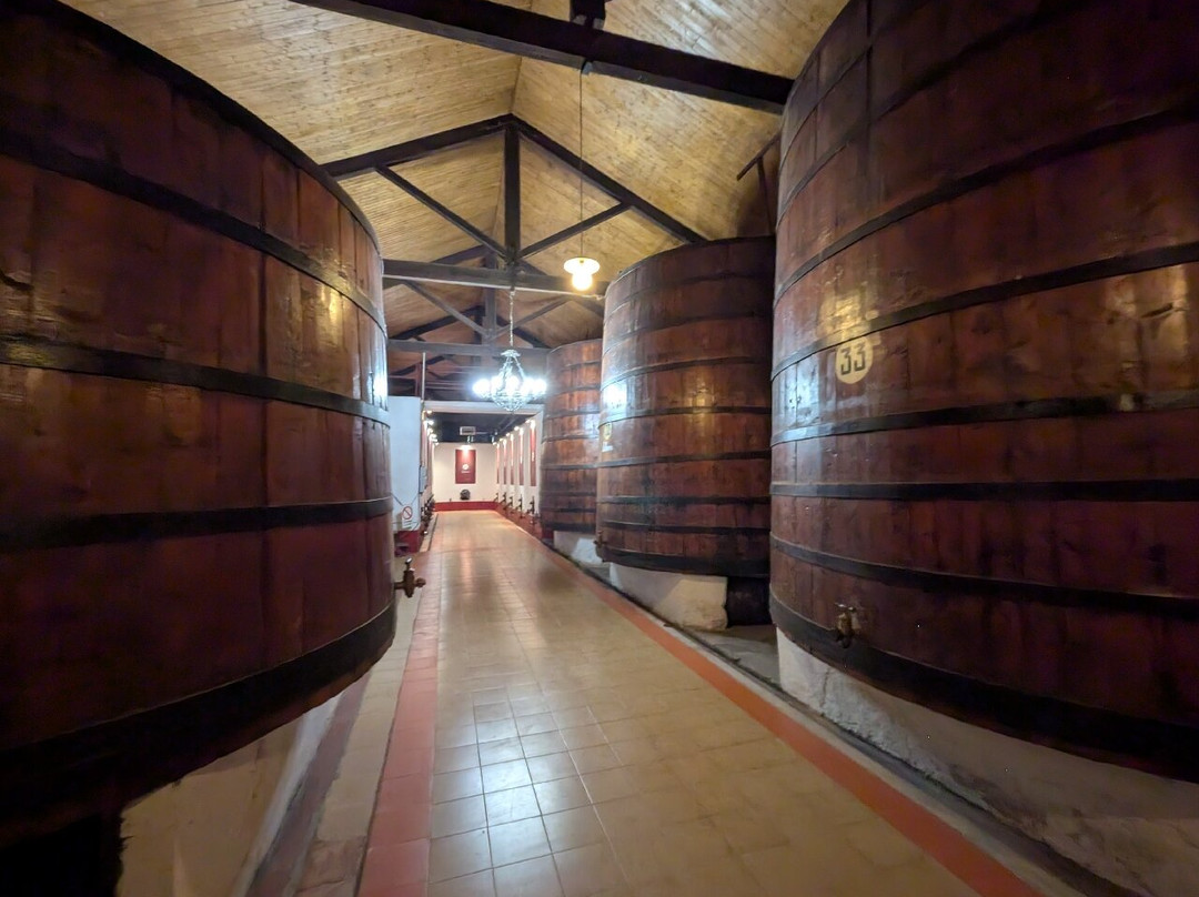 Bodegas Lalanne-Barbastro必去景点