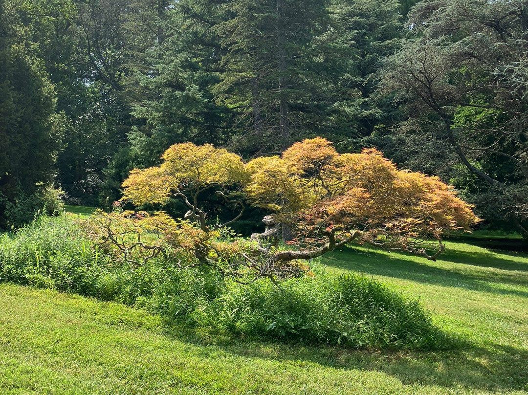 Holmdel Park-Holmdel必去景点
