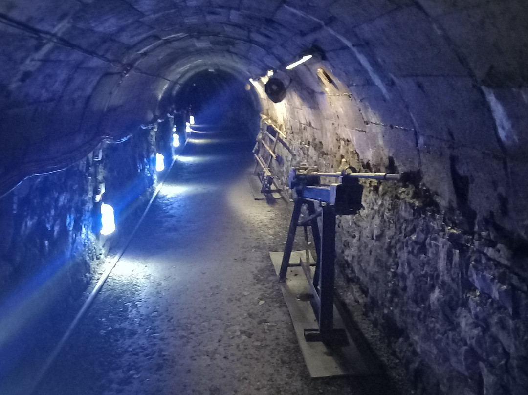 La Mine Image-La Motte-d'Aveillans必去景点