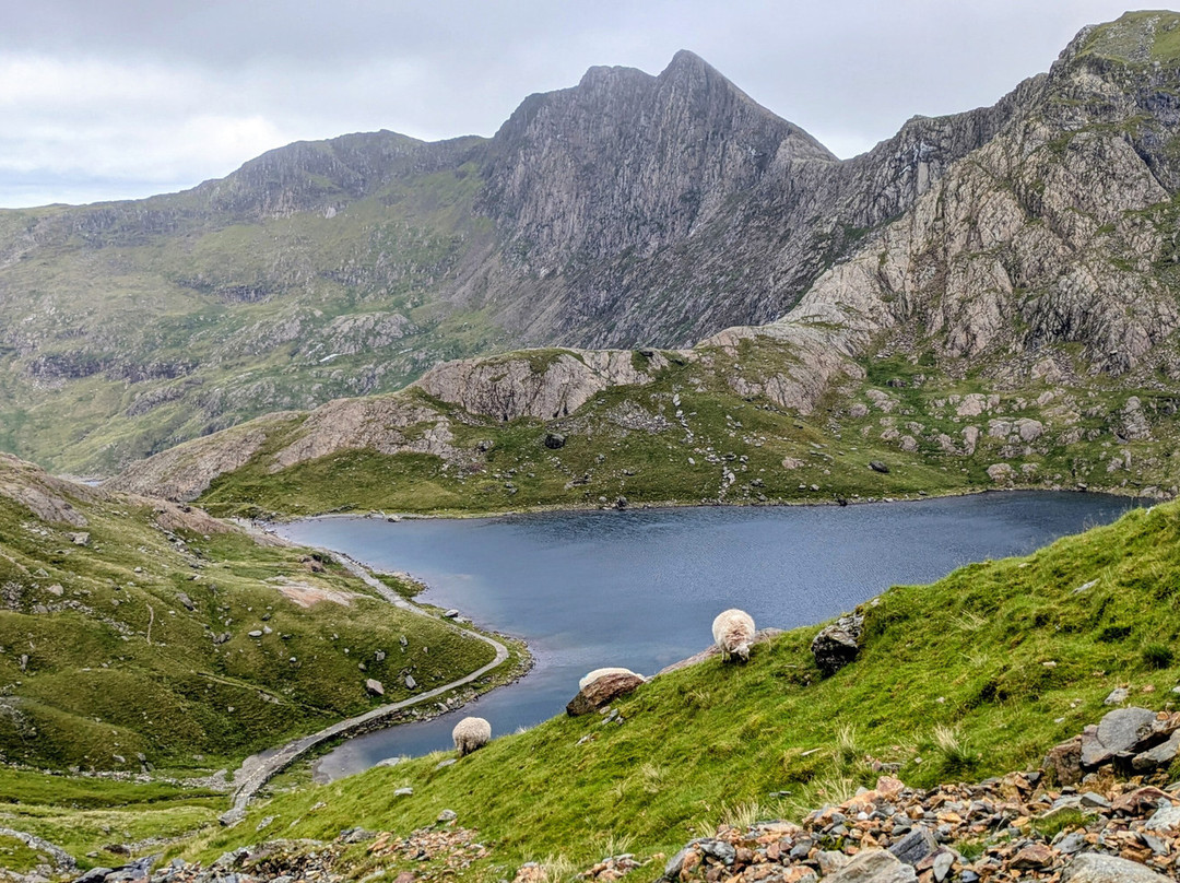 Footfalls Walking Holidays-Roundwood必去景点