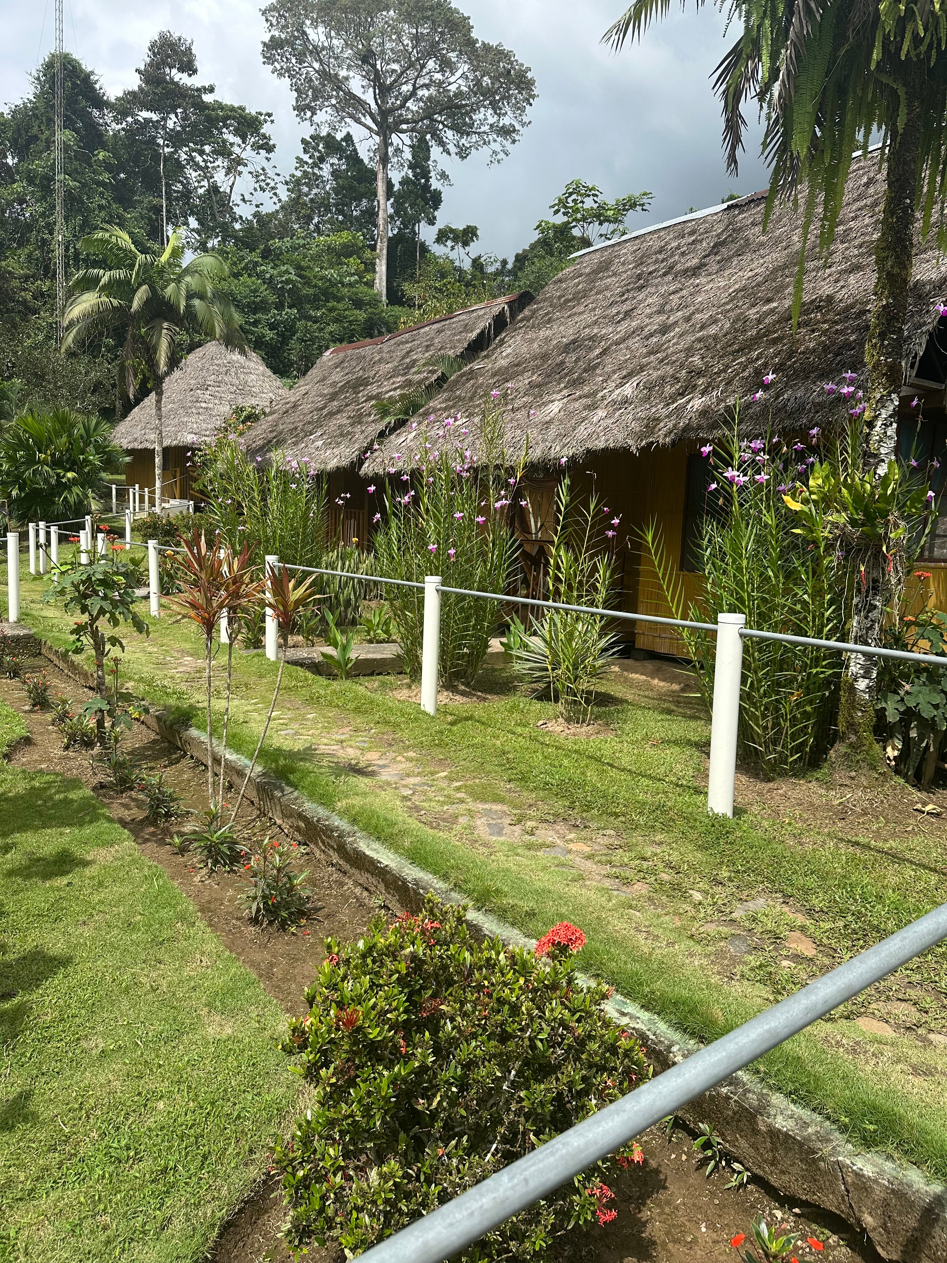 Yarina Eco Lodge-官方