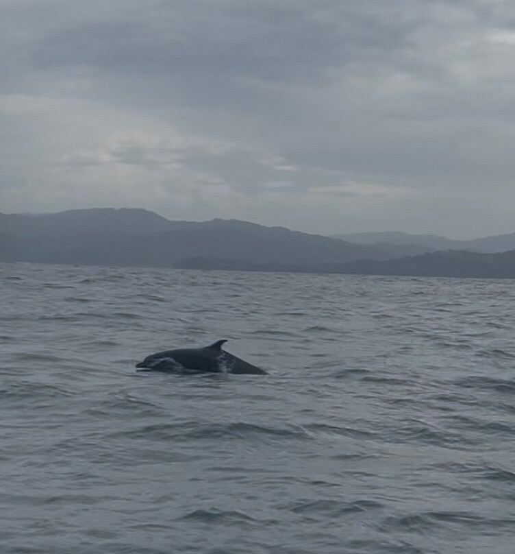 Natural Center Tours-萨玛拉滩必去景点