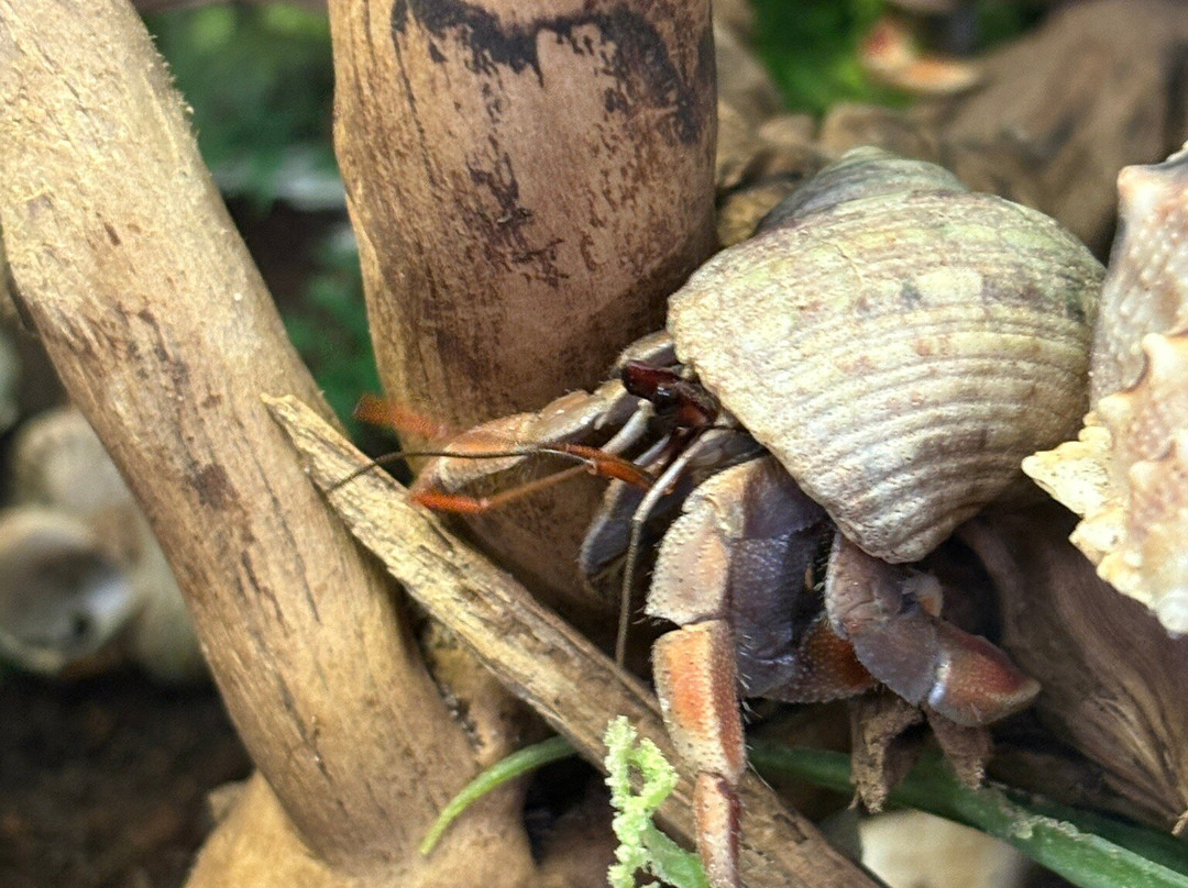 The Bug Parc-Lenwade必去景点