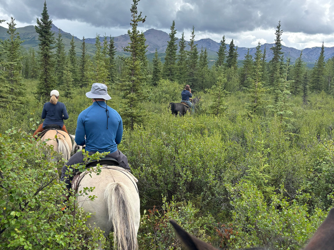 Denali Horseback Tours-德纳利国家公园和自然保护区必去景点