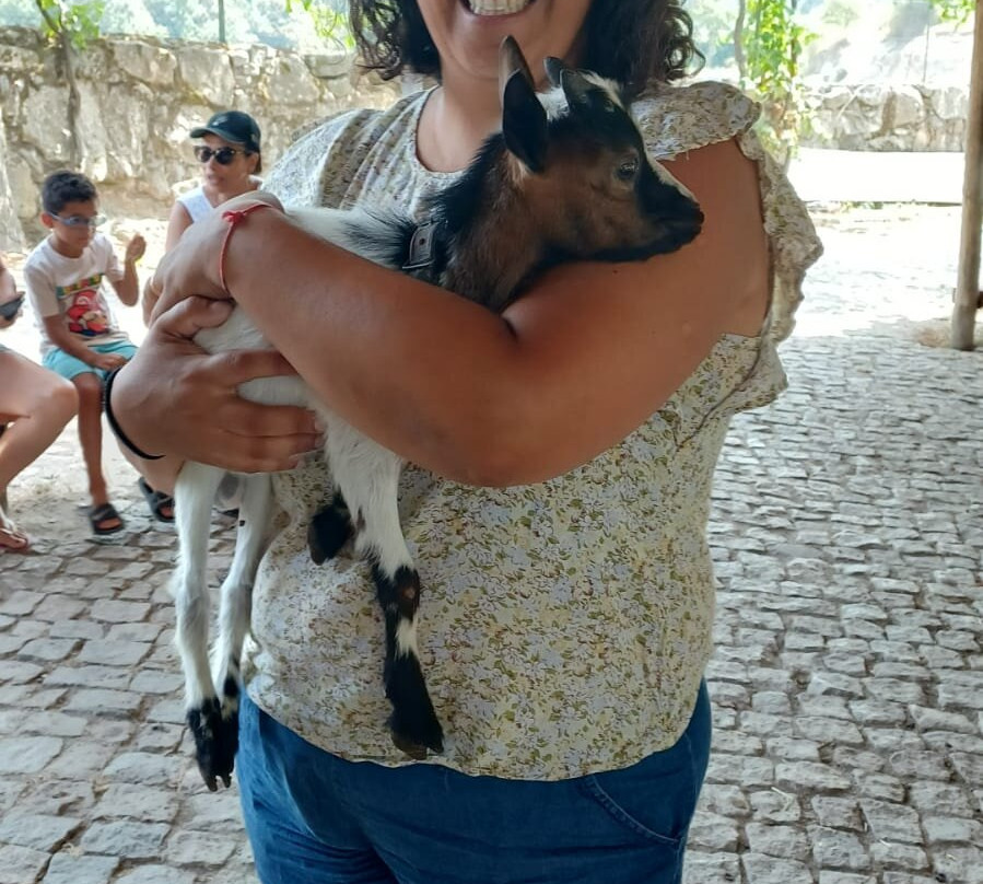 Quinta Pedagógica Quinta das Manas-吉马良斯必去景点