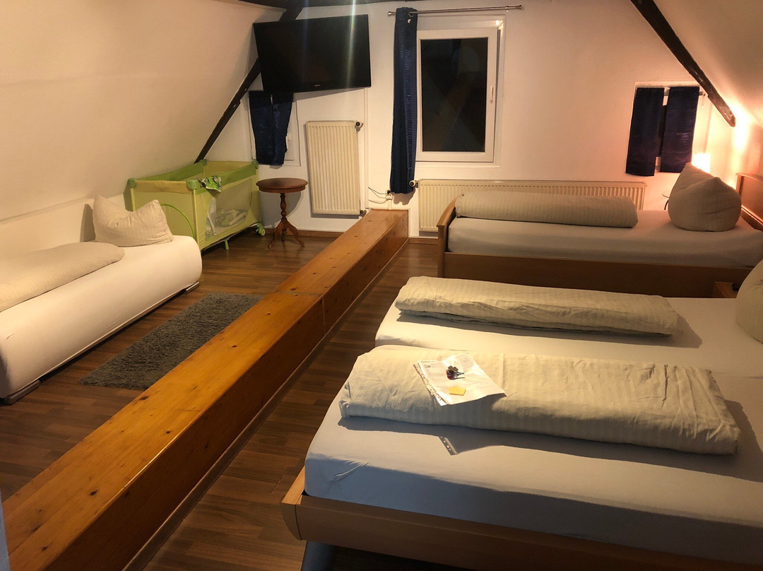 Niederhorbach酒店住宿-Weingut und Gastehaus Vongerichten