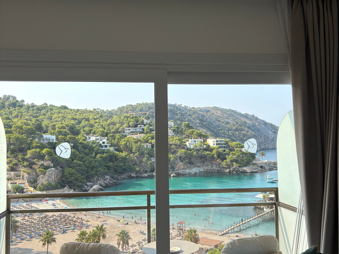 Grupotel Playa Camp de Mar主图