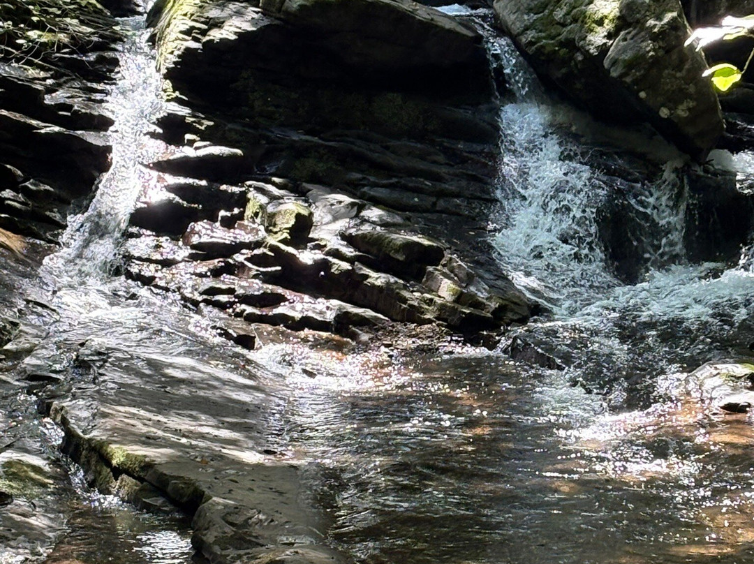 Seven Tubs Recreation Area-威尔克斯-巴里必去景点