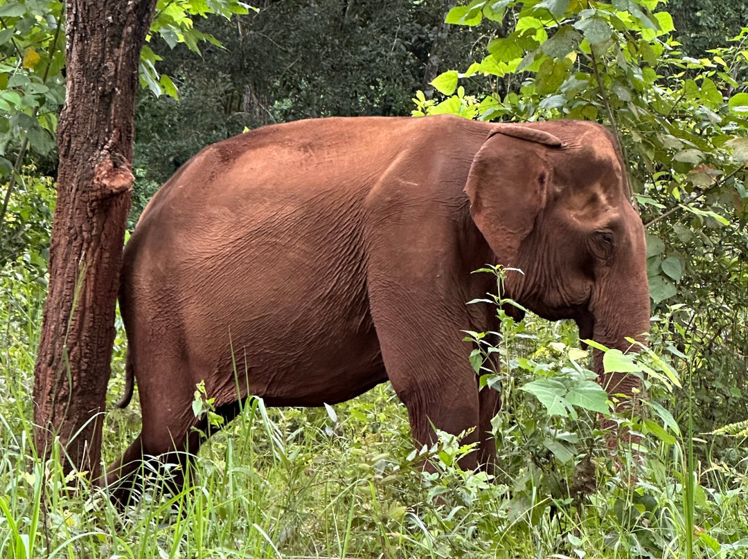 Mondulkiri Project-森莫诺隆必去景点
