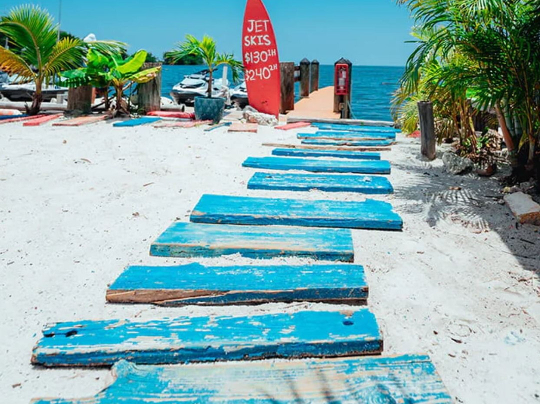 Snappers Key Largo主图