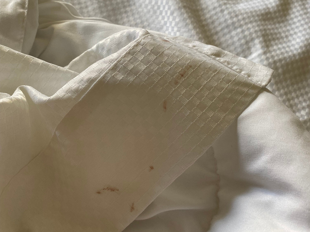 Comfort Inn Festus主图