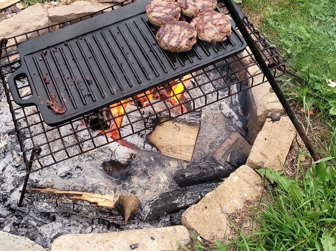 Glamping At Wallops Wood主图