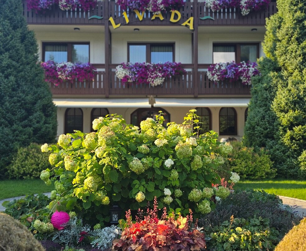 Penzion Livada主图