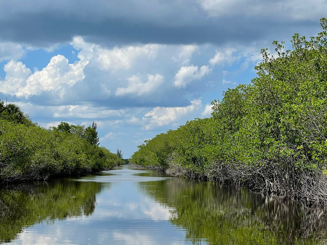 Everglades City Airboat Tours-大沼泽地必去景点