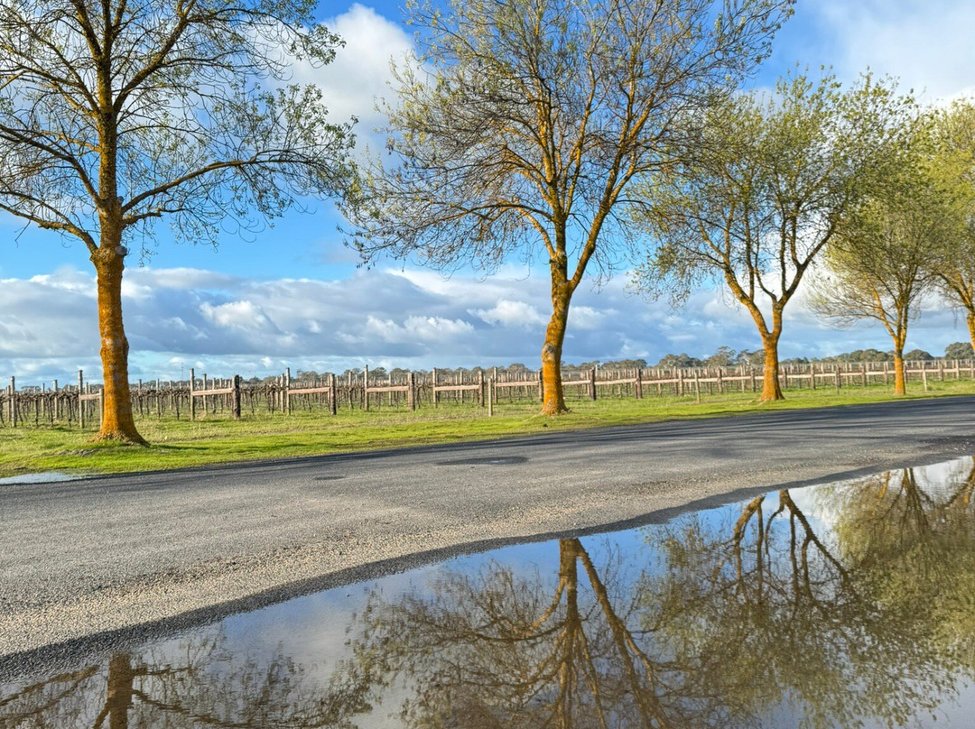 A Must At Coonawarra主图