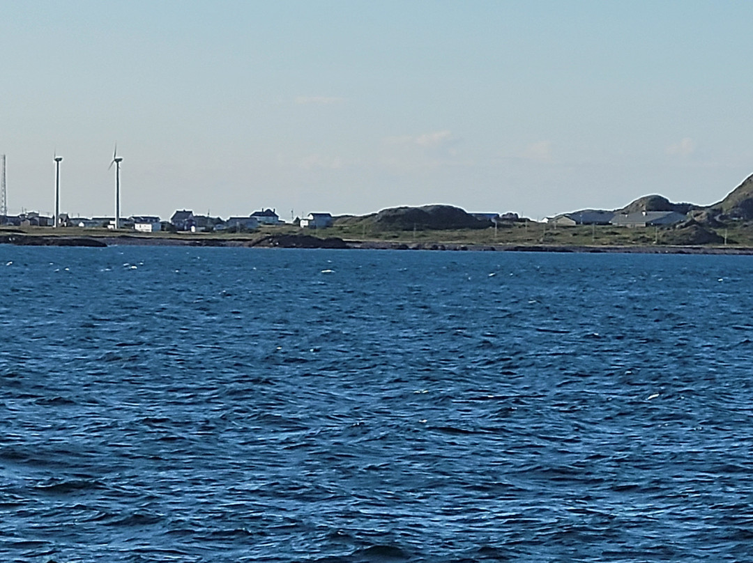 Ramea - Grey River - Burgeo Ferry-Ramea必去景点
