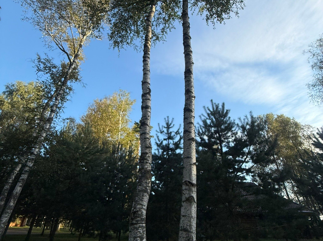 Atostogu Parkas主图