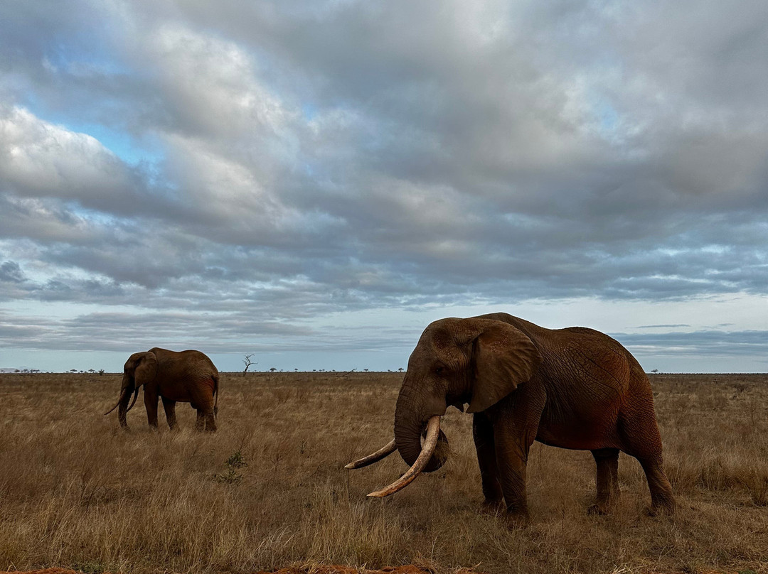 Trav-Interactive-内罗毕必去景点