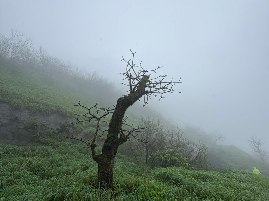 Rajmachi Fort-Udhewadi必去景点