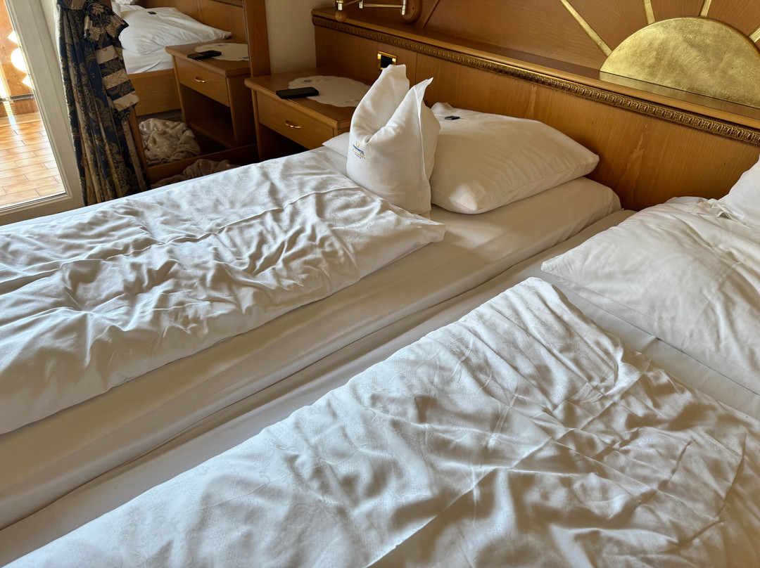 Sonnenhotel Adler主图