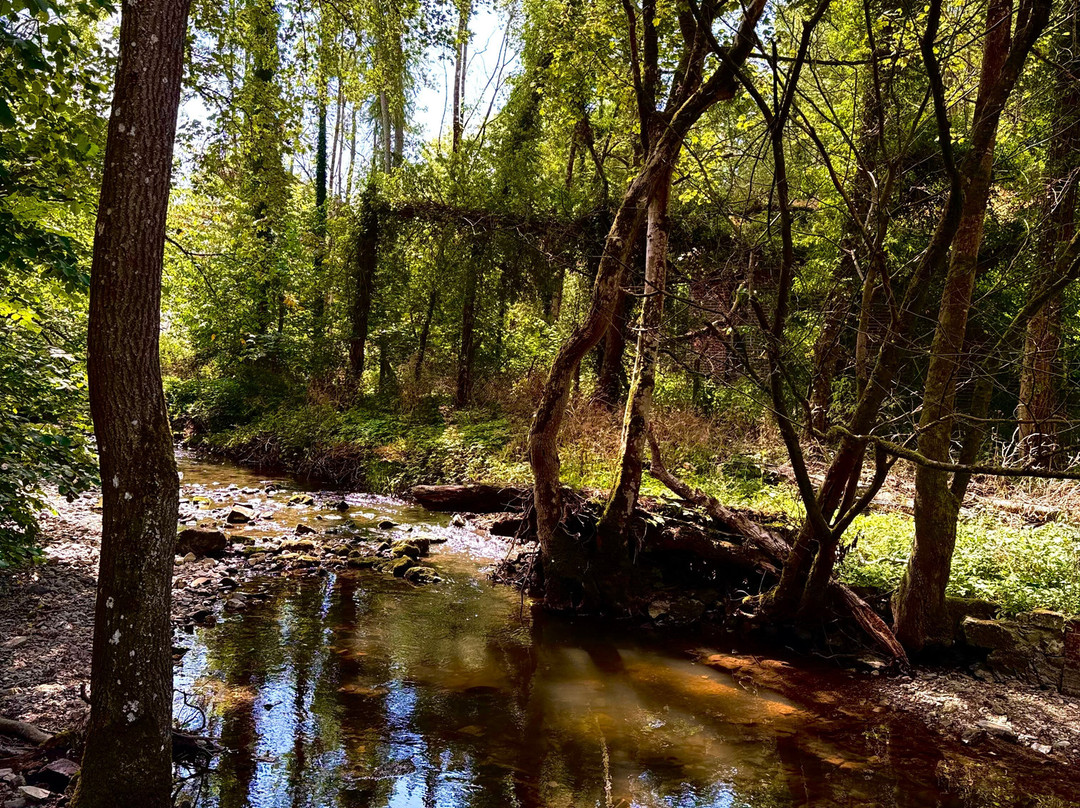 Loggerheads Country Park-Mold必去景点