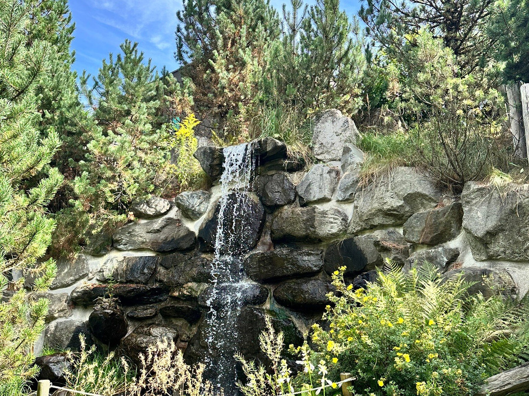 Vitalpinum-Assling必去景点