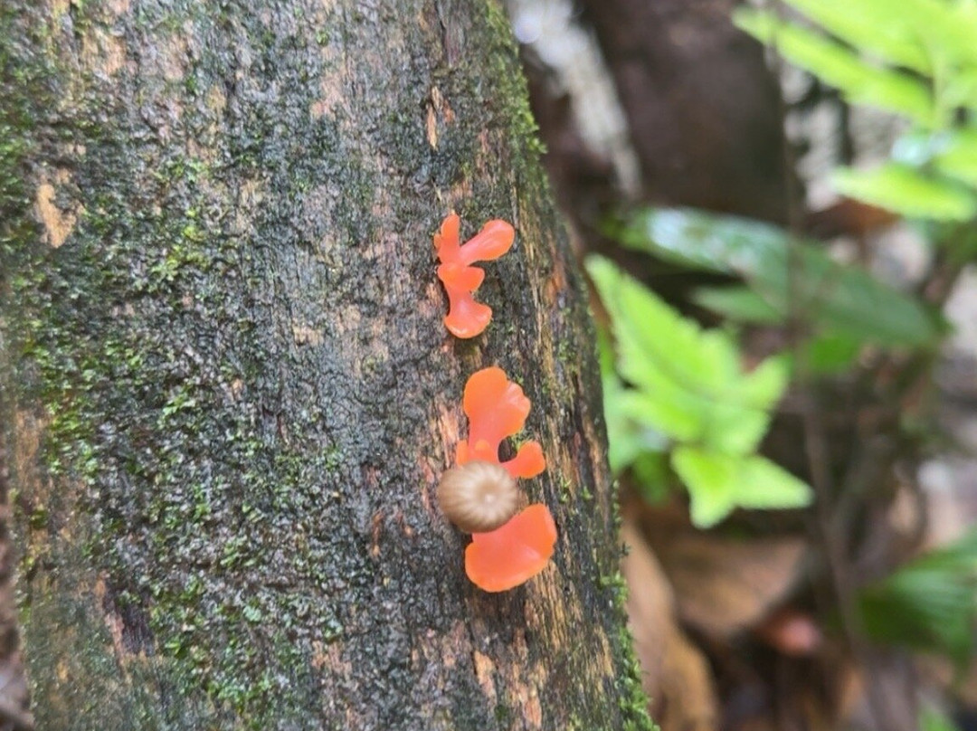 Esmeralda Ecotours San Rafael-San Rafael必去景点