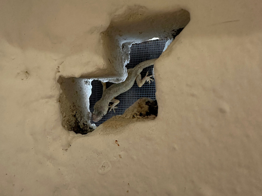 Shooting Star Boutique Hotel主图