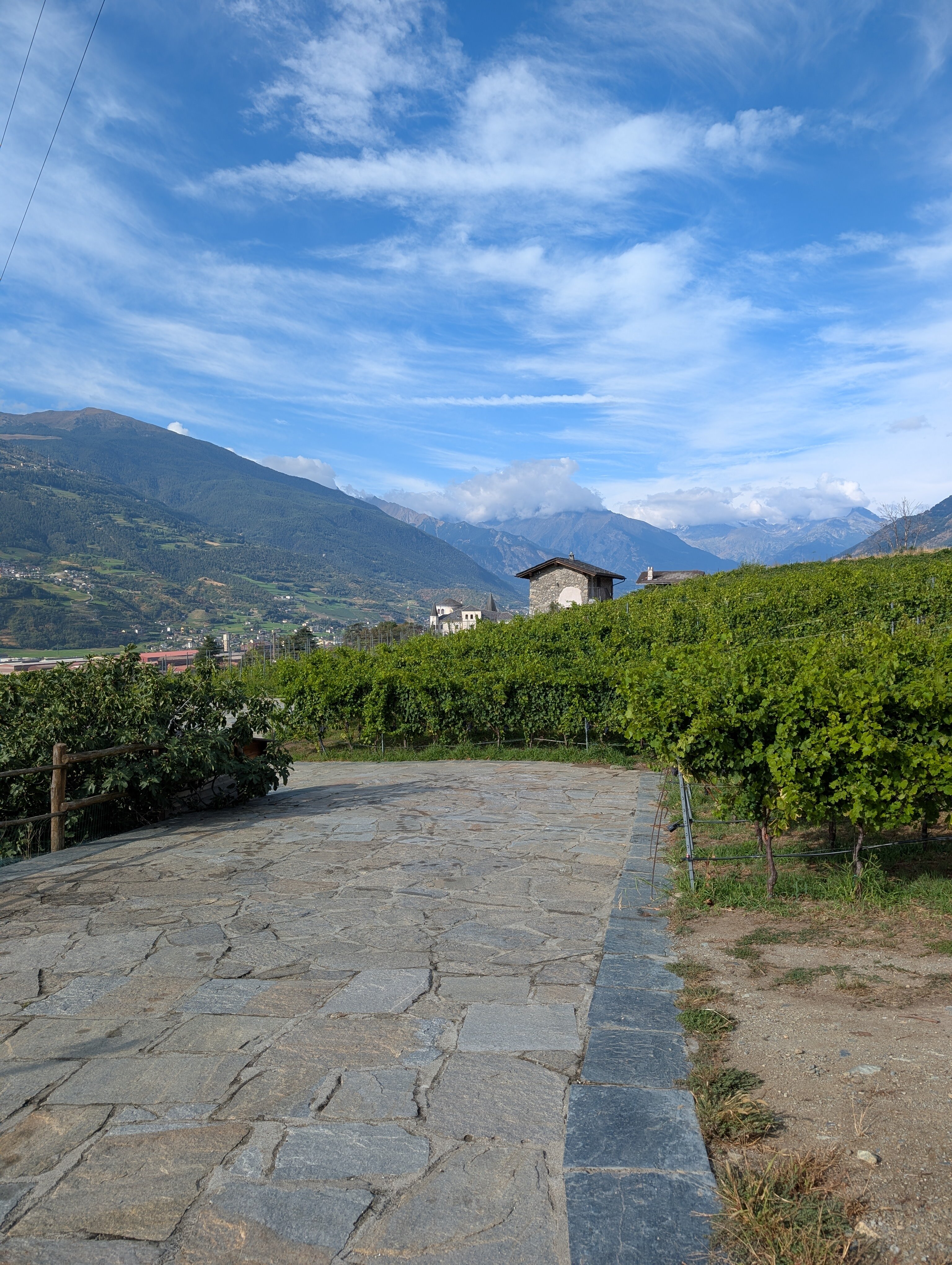 Agriturismo La Viggni de Crest-浴室