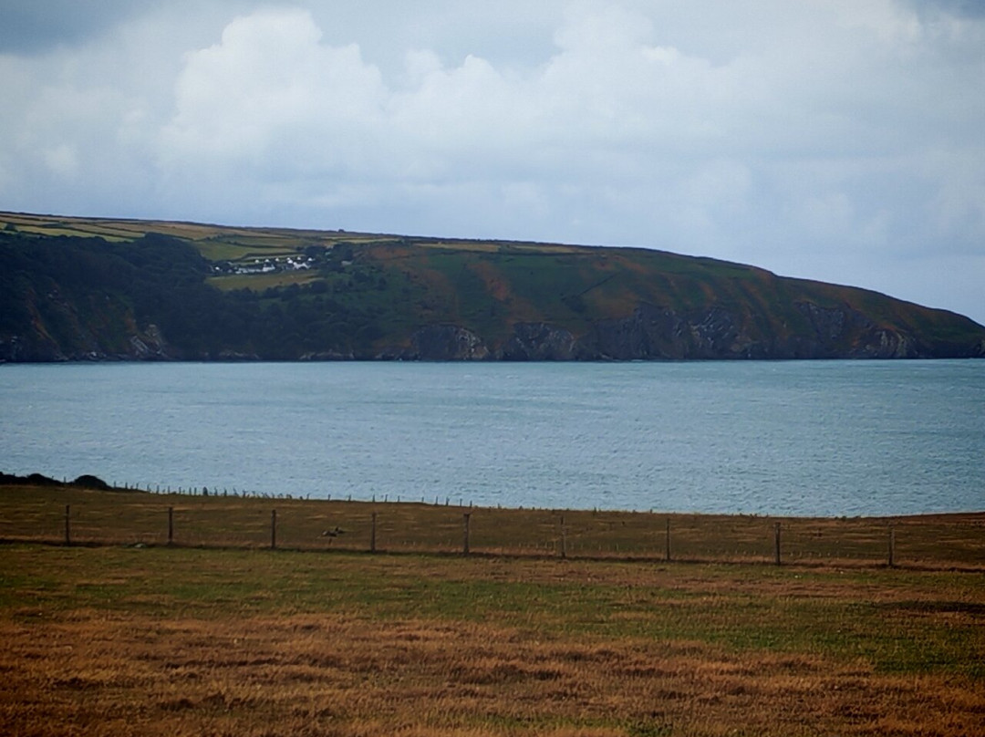 Cardigan Island Coastal Farm Park-Cardigan必去景点