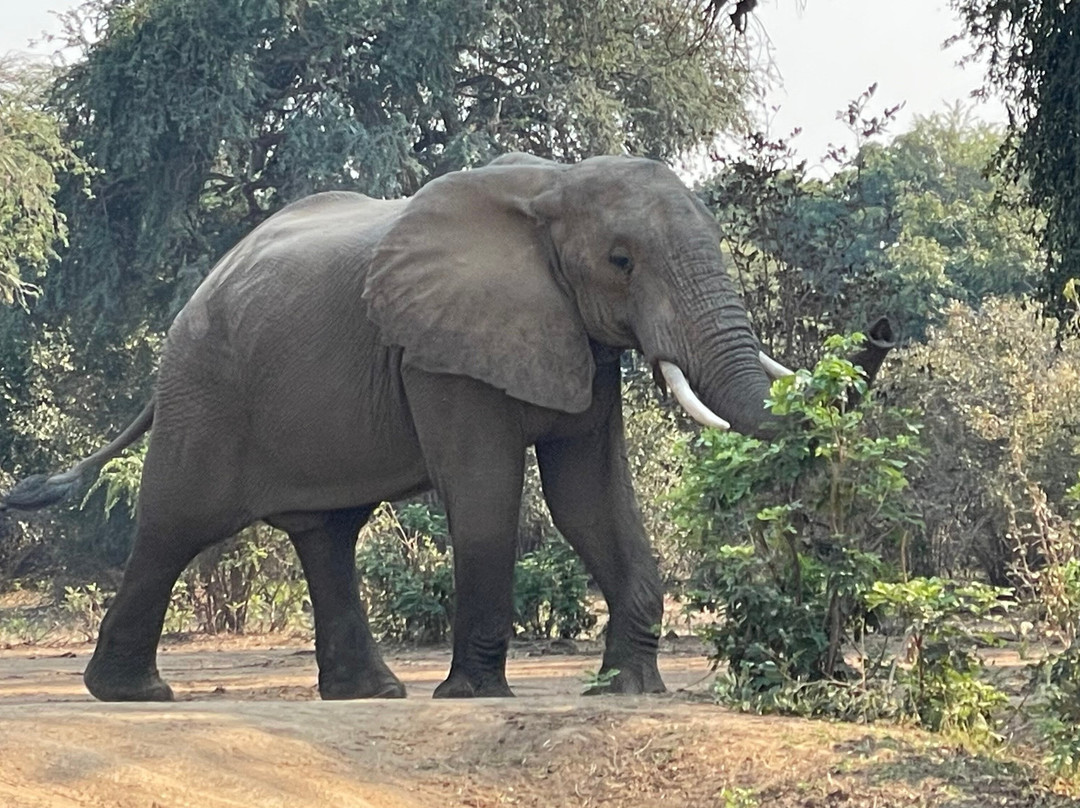 J&l Private Safaris-Chirundu必去景点