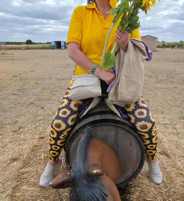 The Patch MK-米尔顿凯恩斯必去景点