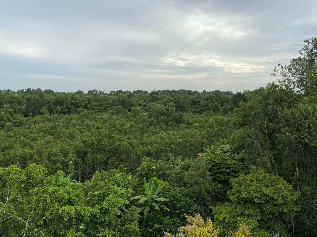 Mekong Experience Travel-芹苴必去景点