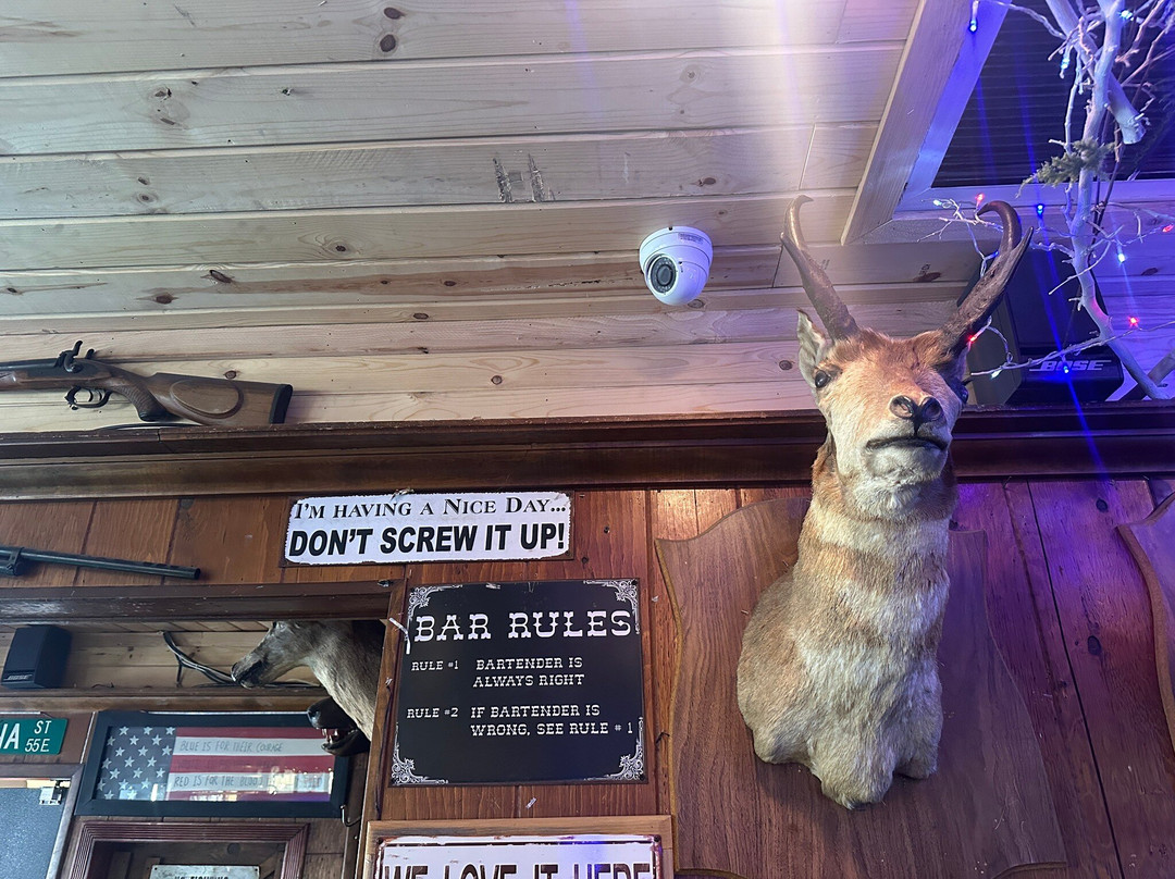 Racoon Saloon-Wrightwood必去景点