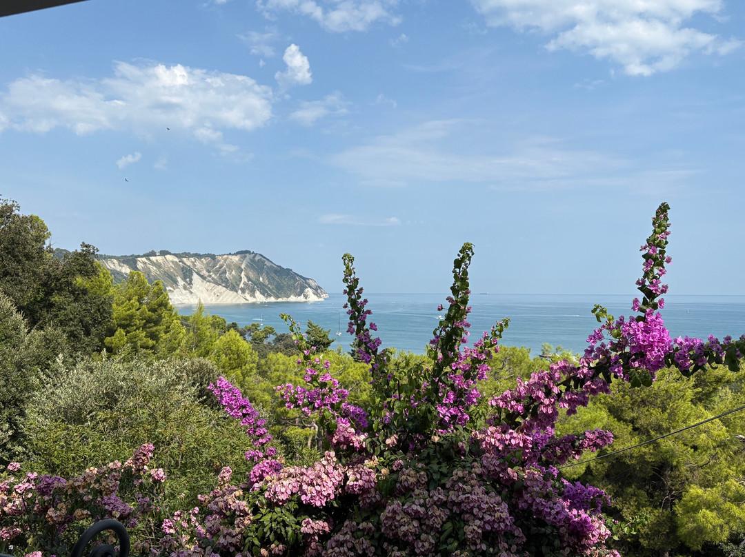 尹特那锡那里酒店主图