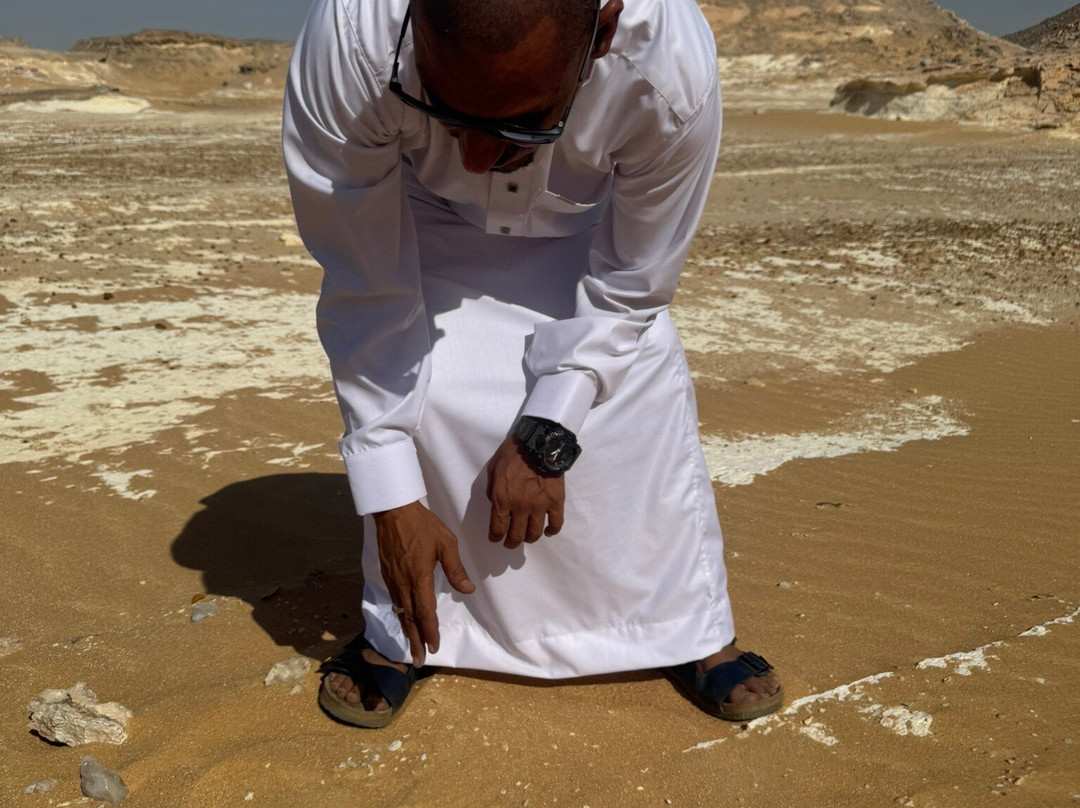 Egypt Western Desert Tours - Day Tour-Bawiti必去景点