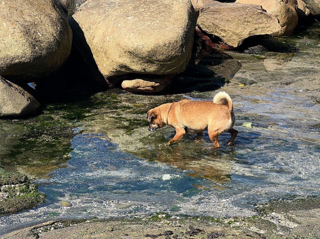 Caleta Horcón-瓦尔帕莱索必去景点