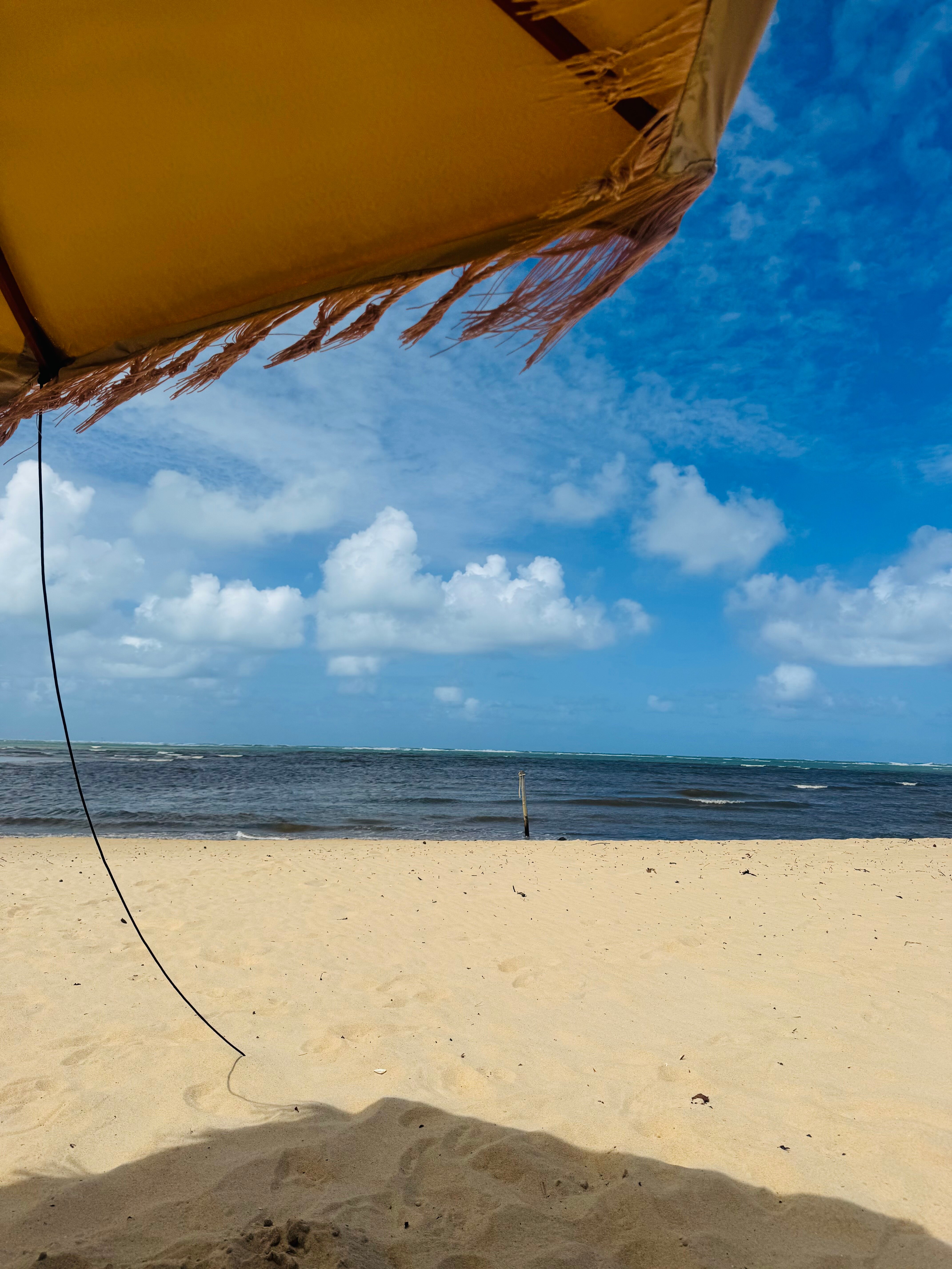 Pousada Encontro das Águas-泳池