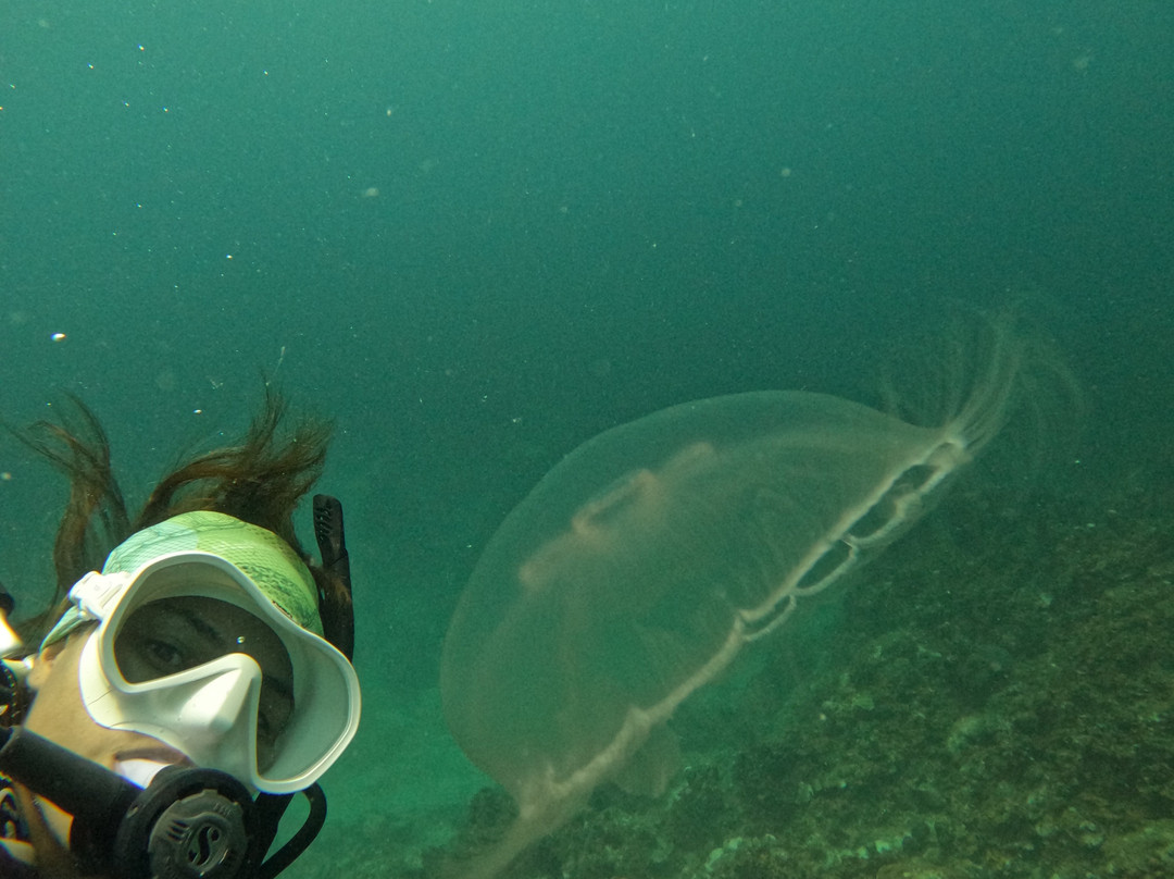 Covenas Diving Co.-Covenas必去景点