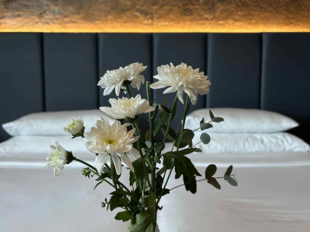 AX ODYCY Hotel主图