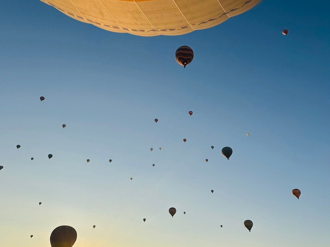 ROYAL BALLOON - JORDAN-Wadi Rum Village必去景点