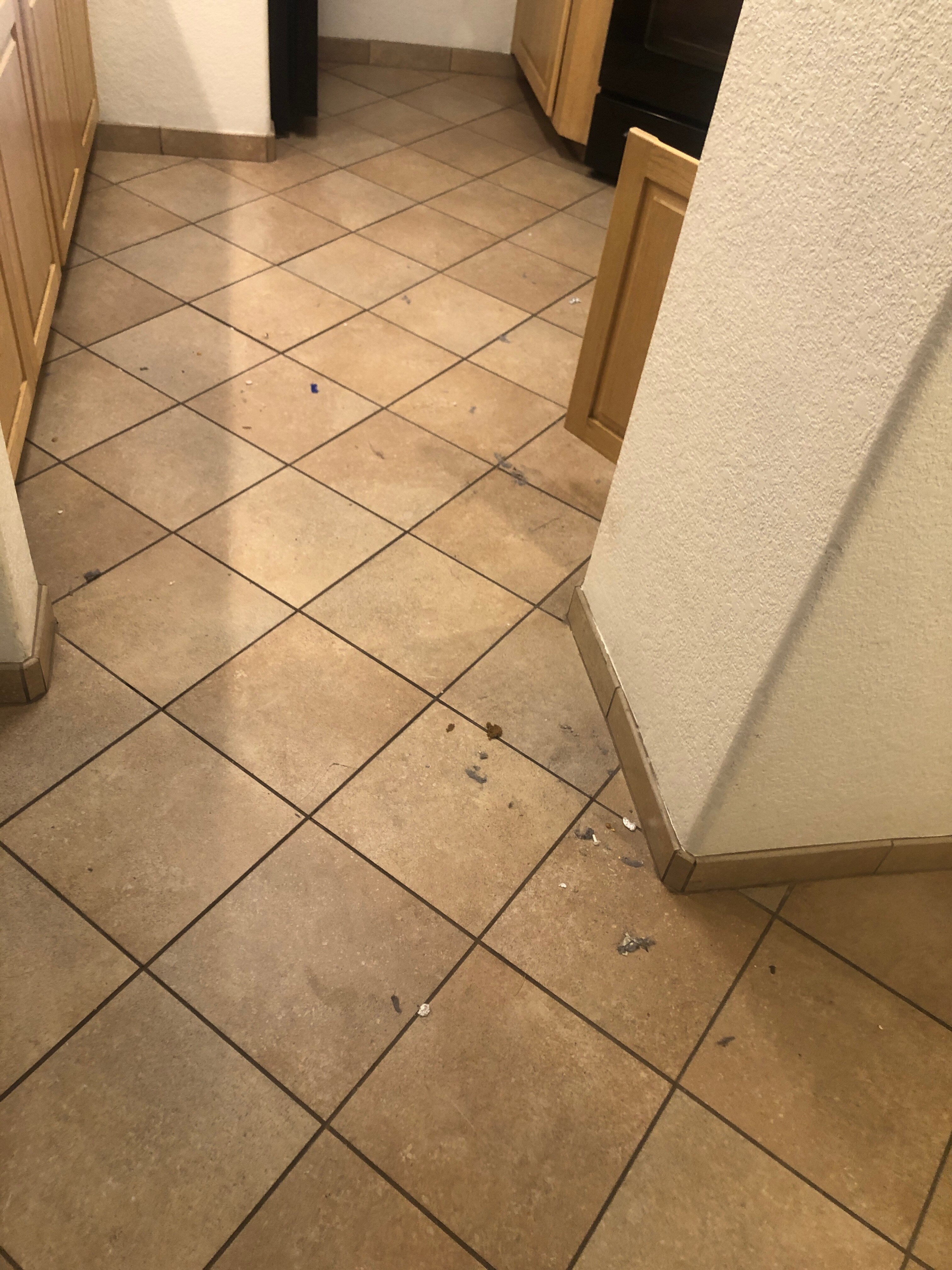 Hilton Vacation Club Sedona Summit-客卧