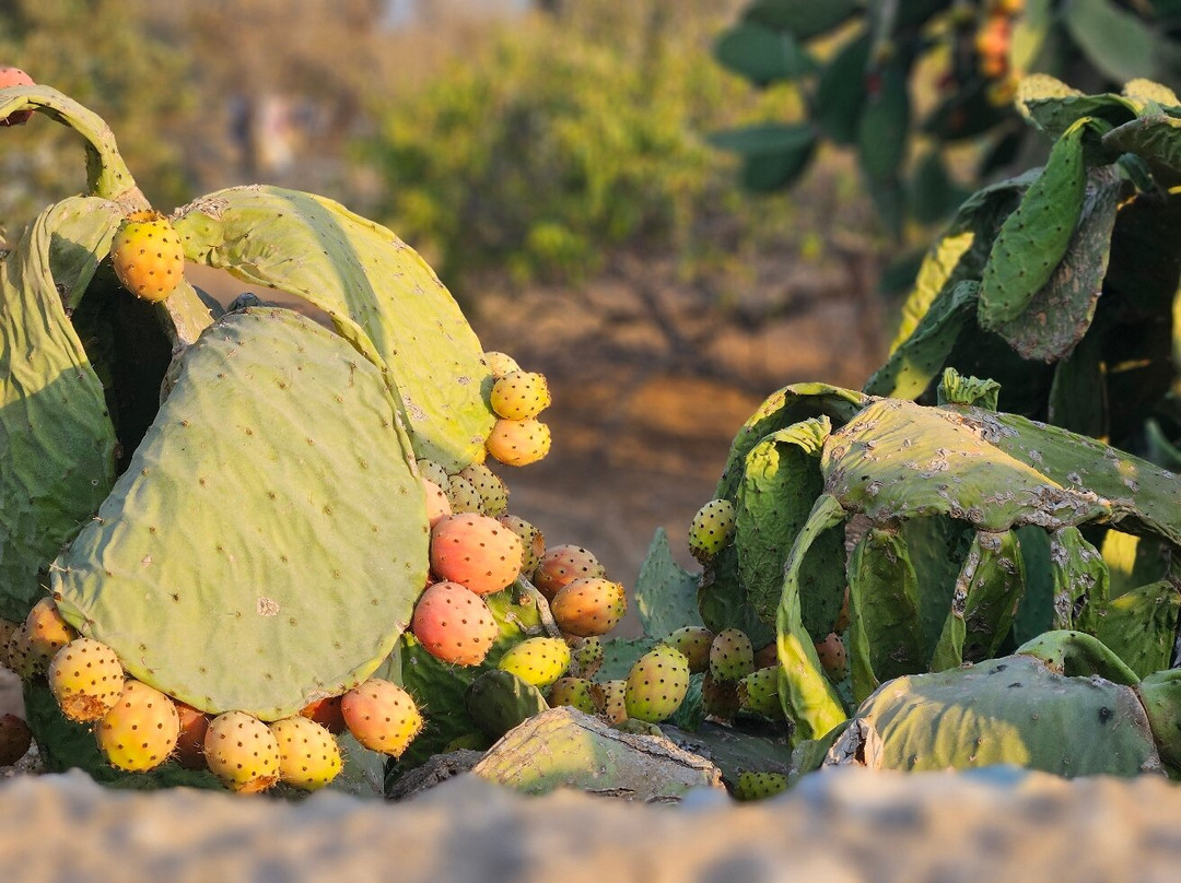 Vrahos Boutique Hotel主图