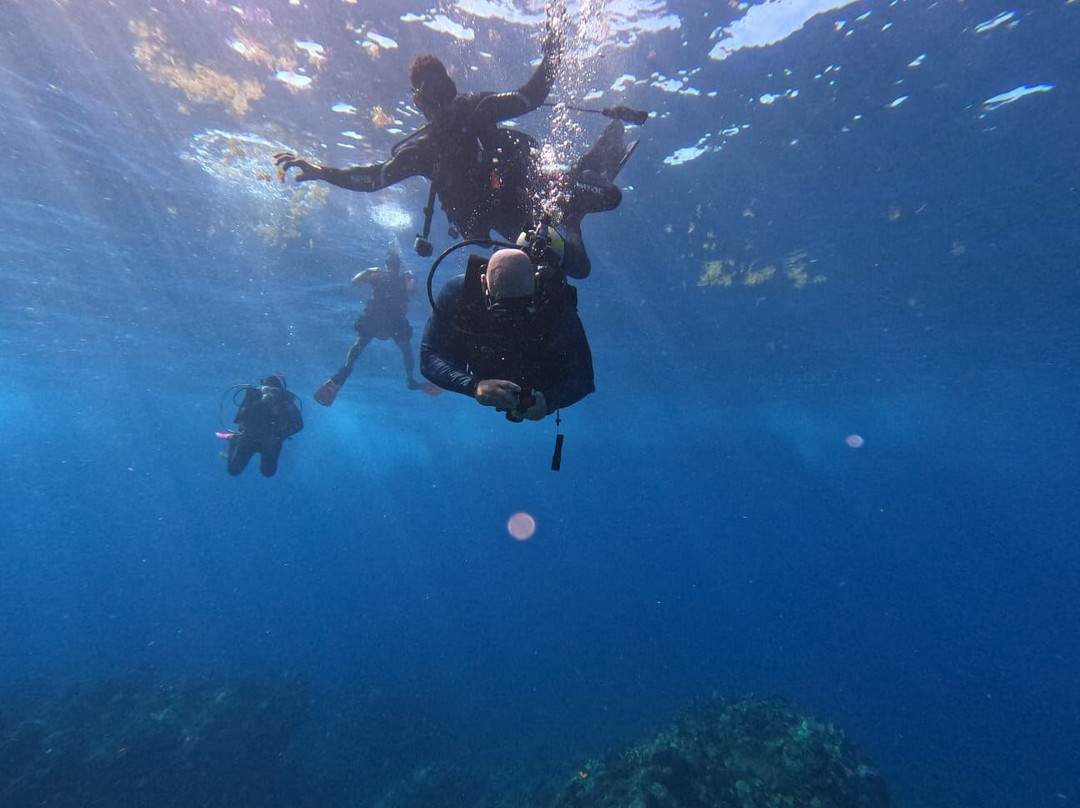 Aquatica Underwater Adventures-Aguadilla必去景点