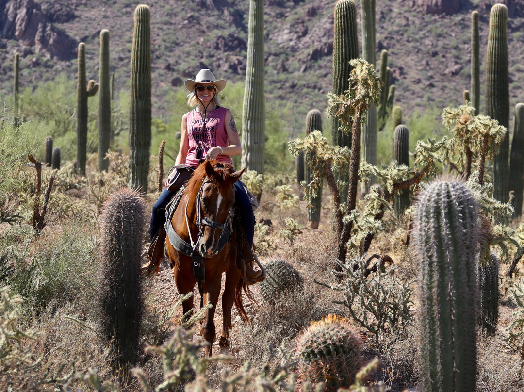 White Stallion Ranch-图森必去景点