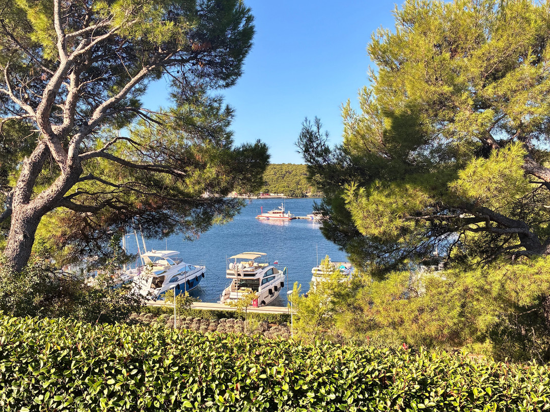 D-Resort Sibenik主图