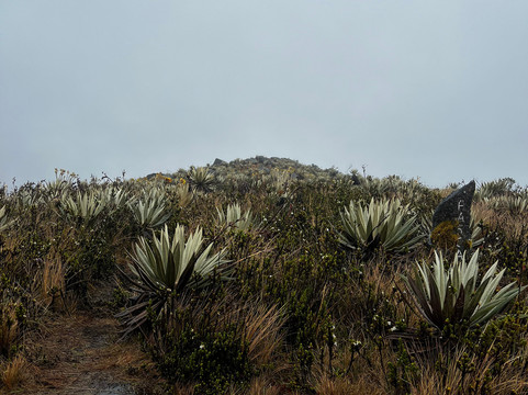 Road Trip Colombia-波哥大必去景点