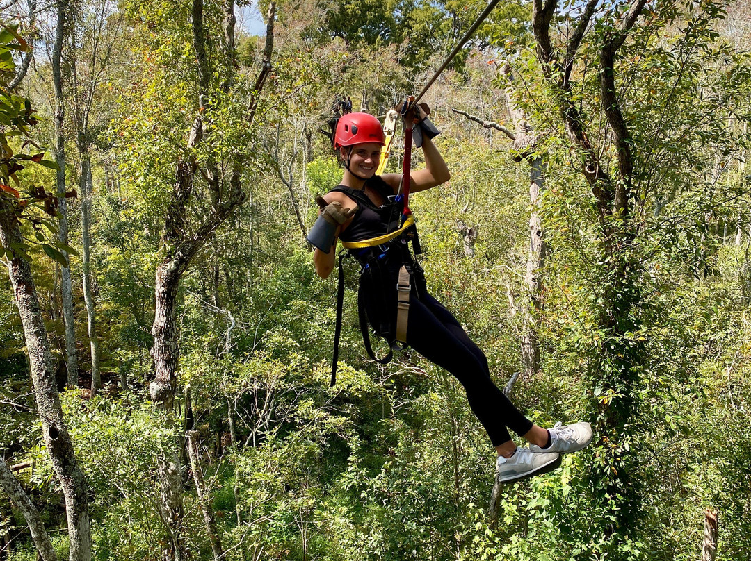 The Swamp Park-Ocean Isle Beach必去景点